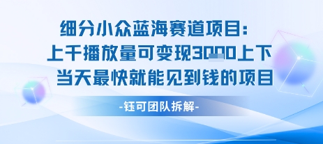 小众蓝海赛道项目：当天变现1k+适合新手操作 +适合长期玩-二当家网创资源站