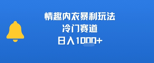情趣内衣暴利玩法，冷门赛道，日入1k+-二当家网创资源站