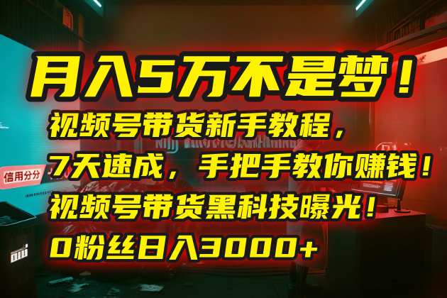 月入5万不是梦！视频号带货新手教程，7天速成，手把手教你赚钱！视频号…-二当家网创资源站