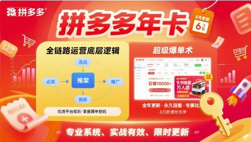 拼多多年卡【8月更新6节】拼多多全链路运营底层逻辑，超级爆单术-二当家网创资源站