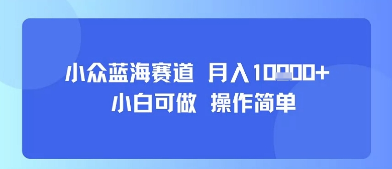 小众蓝海赛道，小白可做，操作简单，每天30分钟，月入1W+-二当家网创资源站