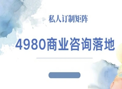 4980商业咨询师落地课程-ip运营高客单教程-二当家网创资源站