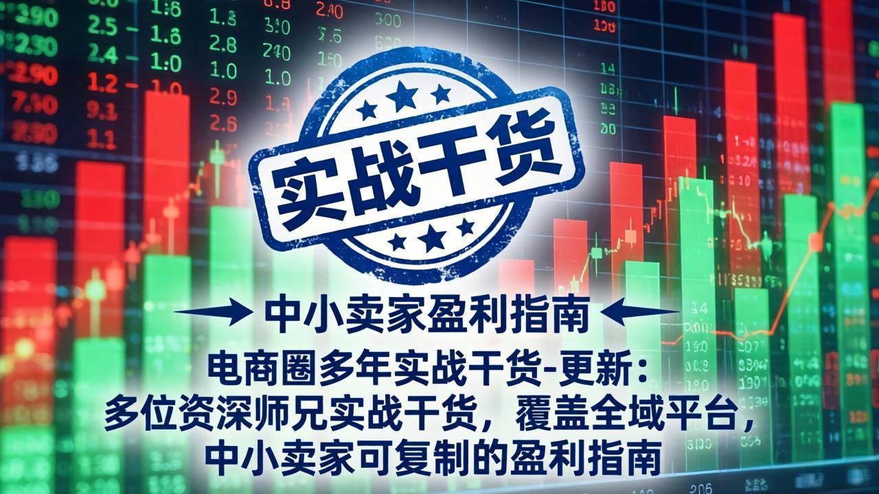 电商圈多年实战干货-更新5月10：多位资深师兄实战干货/覆盖全域平台，中小卖家可复制的盈利指南-二当家网创资源站