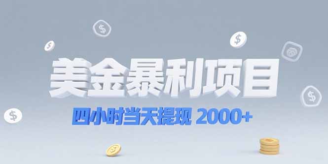 美金暴利项目，四小时当天提现 2000+机会留给会选赛道的人-二当家网创资源站