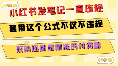 小红书发笔记一直违规，套用这个公式不仅不违规，来的还都是精准的付费粉-二当家网创资源站