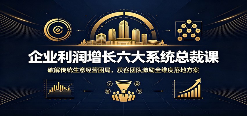 企业利润增长六大系统总裁课:破解传统生意经营困局,获客团队激励全维度落地方案-二当家网创资源站