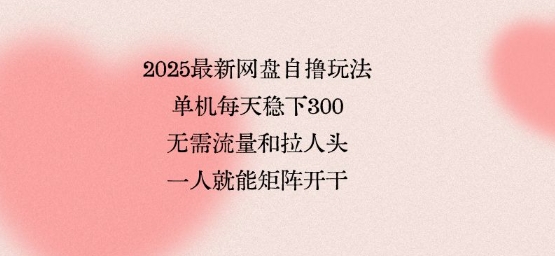 2025最新网盘自撸玩法，单机每天稳下3张，无需流量和拉人头，一个人就可轻松矩阵，全网独一份【揭秘】-二当家网创资源站