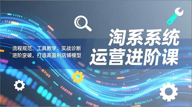 淘系系统运营进阶课2.0，流程规范、工具教学、实战诊断，进阶突破，打造高盈利店铺模型-二当家网创资源站