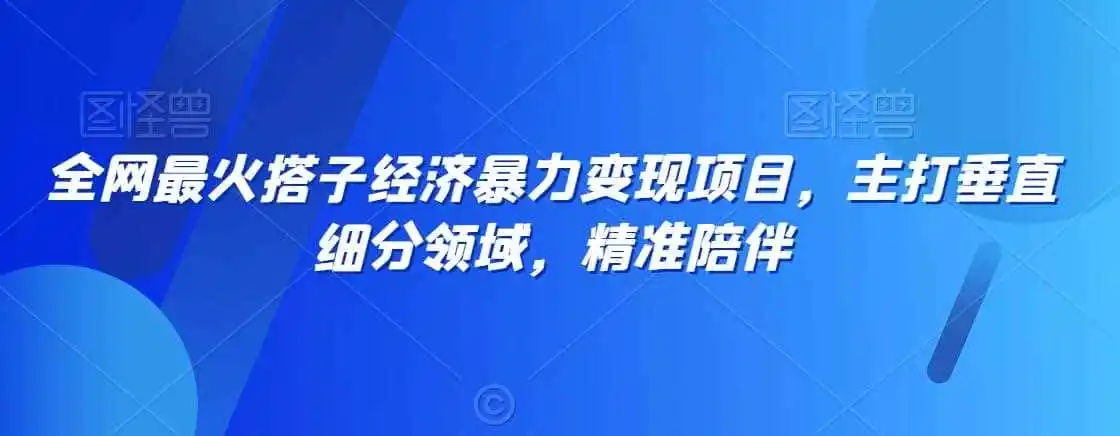 全网最火搭子经济暴力变现项目,主打垂直细分领域,精准陪伴【揭秘】-二当家网创资源站