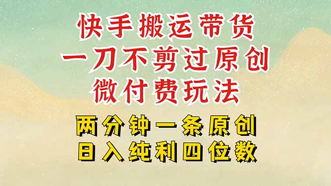 快手黑科技搬运带货，一刀不剪过原创，微付费投流玩法，轻松日入四位数…-二当家网创资源站