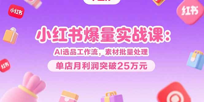小红书爆量实战课：AI选品工作流，素材批量处理，单店月利润突破25万元-二当家网创资源站