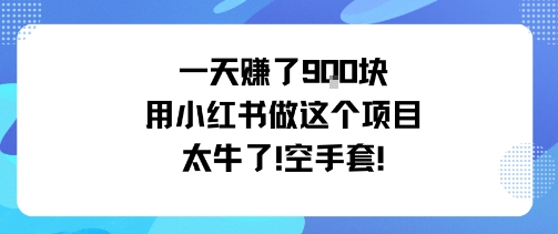 一天挣了9张用小红书做这个项目太牛了，空手套-二当家网创资源站