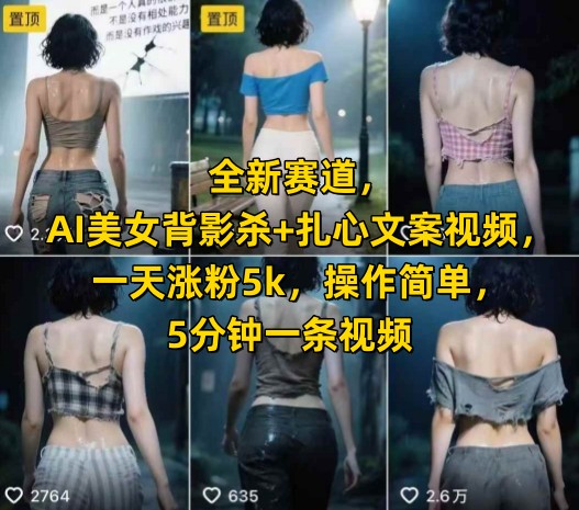全新赛道，AI美女背影杀+扎心文案视频，一天涨粉5k，操作简单，5分钟一条视频-二当家网创资源站
