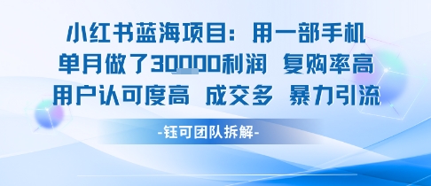 小红书蓝海项目，一部手机单月做了3W利润，小白也能月入过1W用户认可度高成交多-二当家网创资源站
