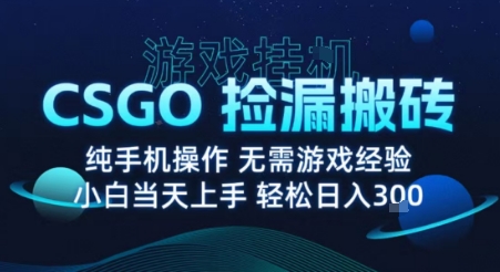 8月最新游戏搬砖，CSGO纯挂G，不需要玩游戏，实现真挂G，月入1W+【揭秘】-二当家网创资源站