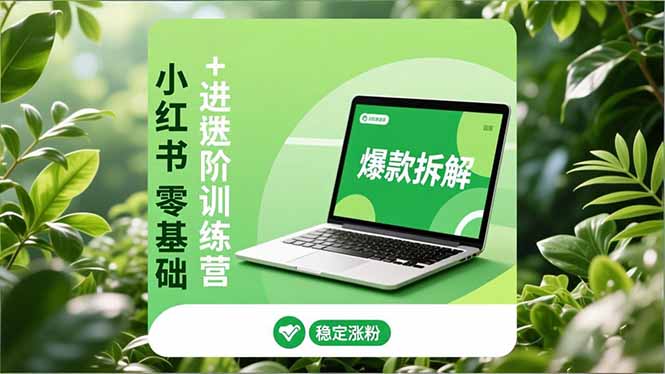 小红书零基础+高阶训练营:安全养号、爆款拆解、长效运营,实现稳定涨粉与变现-二当家网创资源站