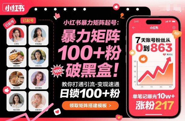 小红书暴力矩阵起号，教你打通引流-变现速通，日锁100+粉，破流量黑盒-二当家网创资源站