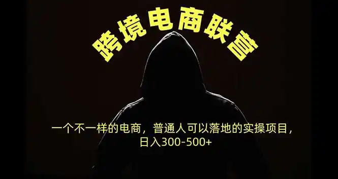 跨境电商联营，一个不一样的电商，普通人可操作日入300-500+-二当家网创资源站