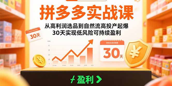 拼多多实战课：从高利润选品到自然流高投产起爆 30天实现低风险可持续盈利-二当家网创资源站
