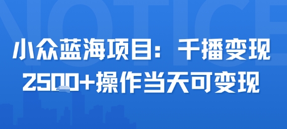 小众蓝海项目，千播变现2.5k+操作当天可变现-二当家网创资源站