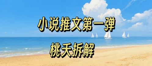 小说推文项目操作全流程第一弹，0粉就能做，门槛低非常适合新手-二当家网创资源站