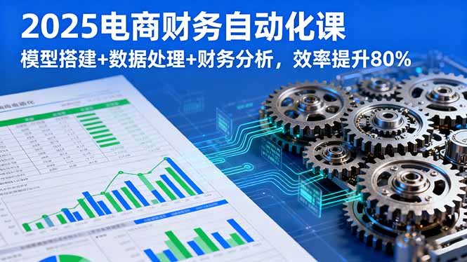 2025电商财务自动化课，模型搭建+数据处理+财务分析，效率提升80%-二当家网创资源站