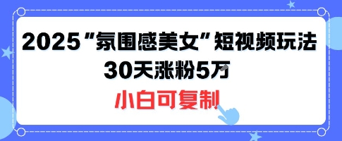 不露脸也能火！2025“氛围感美女”短视频玩法，30天涨粉5W小白可复制-二当家网创资源站