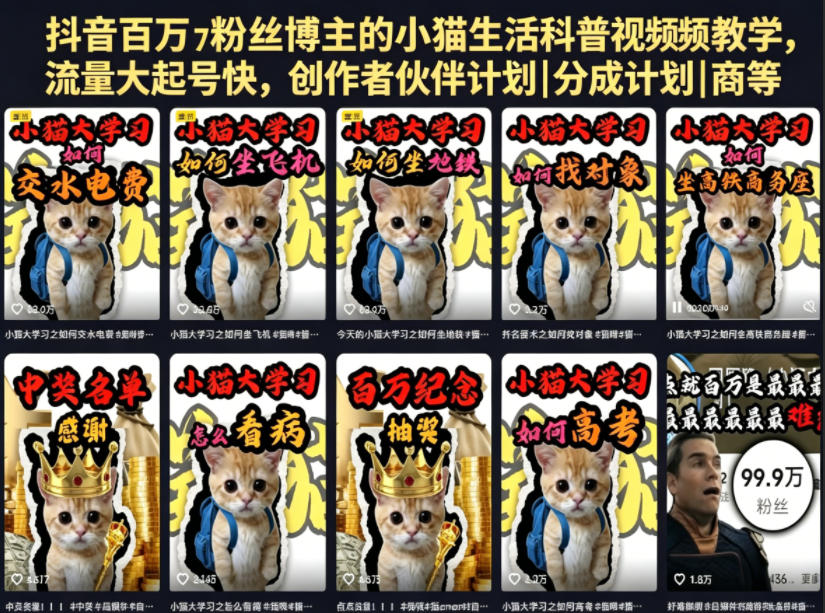 抖音百万粉丝博主的小猫生活科普视频教学，流量大起号快，创作者伙伴计划|分成计划|商单|收徒等-二当家网创资源站