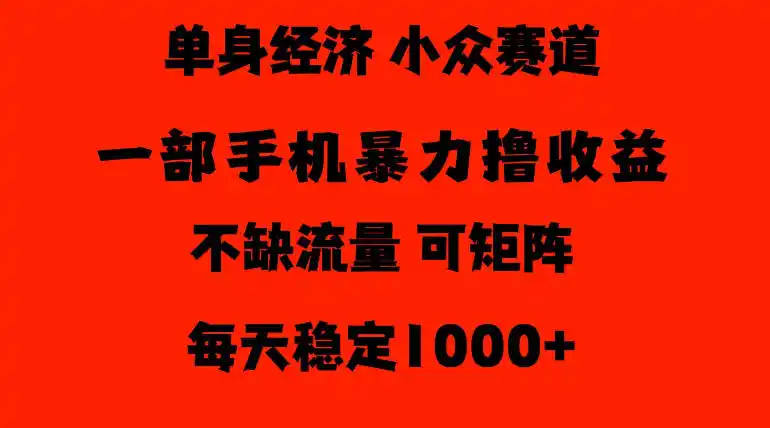 26年暴力单身经济，稳定日入500-1k，不缺流量，流量极大，冷门小众赛道，门槛低小白轻松上手【揭秘】-二当家网创资源站
