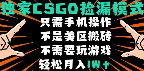 CSGO自动捡漏项目，最新独家玩法，不是美区搬砖，不需要了解和玩游戏，新手小白轻松月入1W+【揭秘】-二当家网创资源站