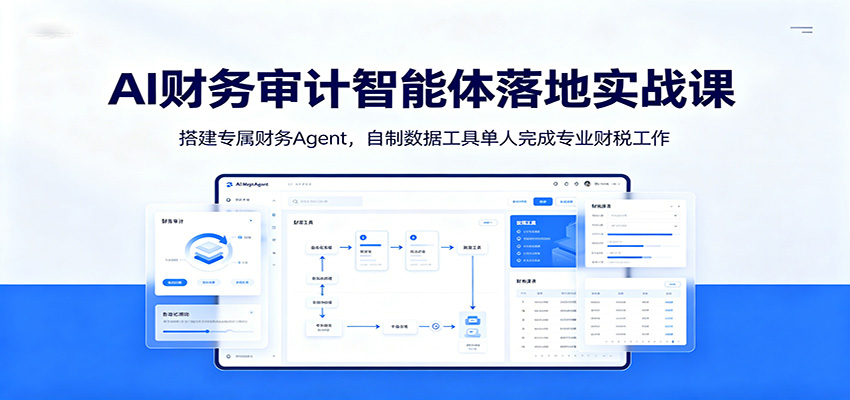 AI财务审计智能体落地实战课：搭建专属财务Agent，自制数据工具单人完成专业财税工作-二当家网创资源站