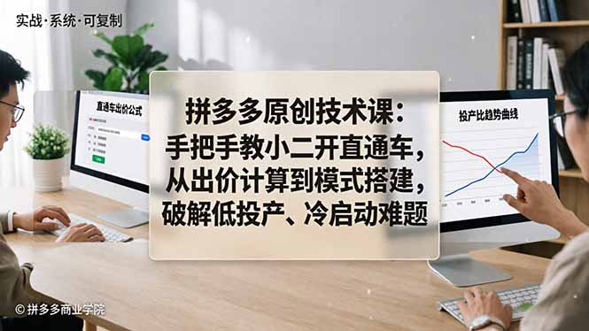 拼多多原创技术课：手把手教小二开直通车，从出价计算到模式搭建，破解低投产、冷启动难题-二当家网创资源站