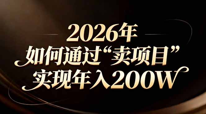 站在2026年的十字路口：一个普通人如何通过卖项目实现年入200万-二当家网创资源站