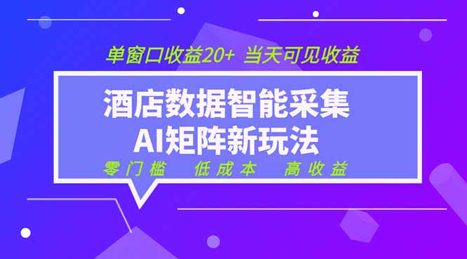 2026酒店数据采集ai智能矩阵新风口 低成本 高收益 当天见收益 单窗口20+-二当家网创资源站