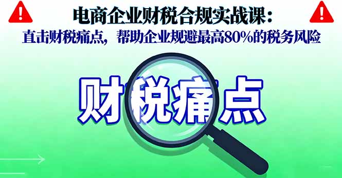 电商企业财税合规实战课，直击财税痛点，帮助企业规避最高80%的税务风险-二当家网创资源站