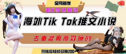 海外tiktok小说推文暴力项目，高停留率，高转化率，上手后一天搞顿饭钱不是问题-二当家网创资源站