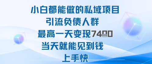 2025年小白都能做的私域项目引流负债人群最高一天变现1k+高变现难度低当天就能见到钱上手快-二当家网创资源站