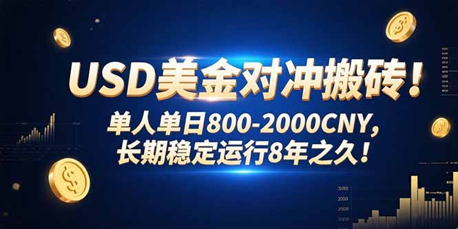 USD美金对冲搬砖!单人单日800-2000CNY，长期稳定运行8年之久!-二当家网创资源站