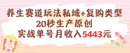 养生赛道玩法私域+复购类型，20秒生产原创实战单号月收入5k+-二当家网创资源站