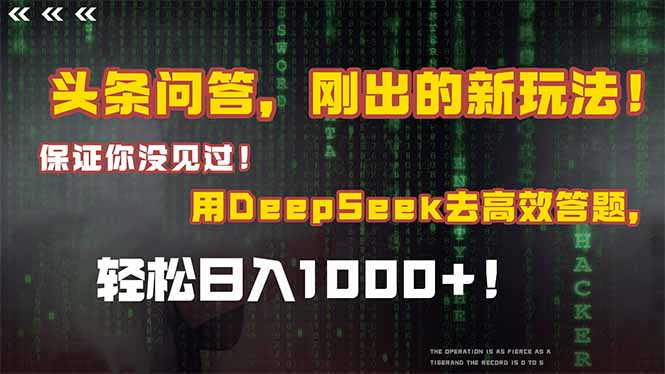头条问答，刚出的新玩法！保证你没见过！结合Deepseek高效答题，日入1000+-二当家网创资源站
