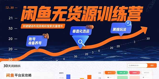 闲鱼无货源训练营：账号准备养号/垂直化选品/黑搜玩法，0基础30天盈利指南-二当家网创资源站