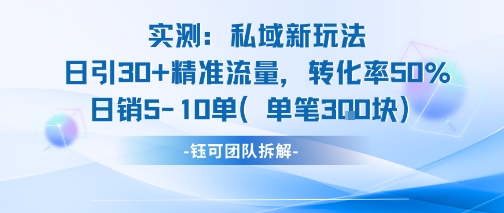 实测私域新玩法日引30加精准流量转化率50%日销5-10单每笔3张-二当家网创资源站