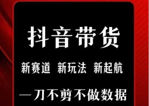 抖音短视频一刀不剪带货，不剪辑，不直播，每天发个视频，等着出单获取带货佣金-二当家网创资源站