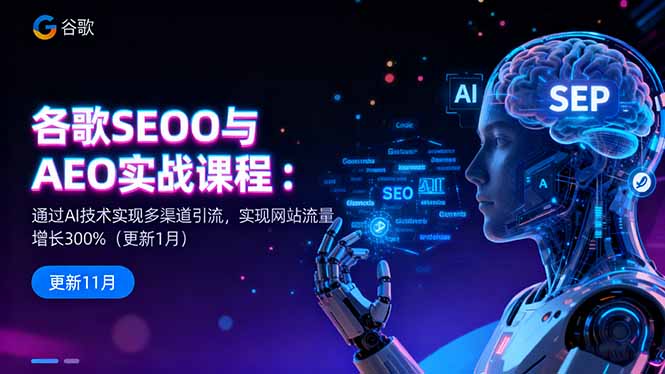 谷歌SEO与AEO实战课程：通过AI技术实现多渠道引流，实现网站流量增长300%-二当家网创资源站