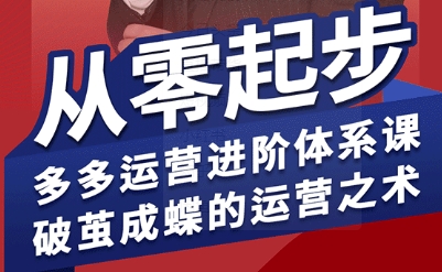 拼多多运营进阶系统课，从零起步，多多运营进阶体系课，破茧成蝶的运营之术(更新9月)-二当家网创资源站