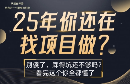 25年，你还在疯狂的找项目吗？别傻了，看完这个你都懂了【揭秘】-二当家网创资源站