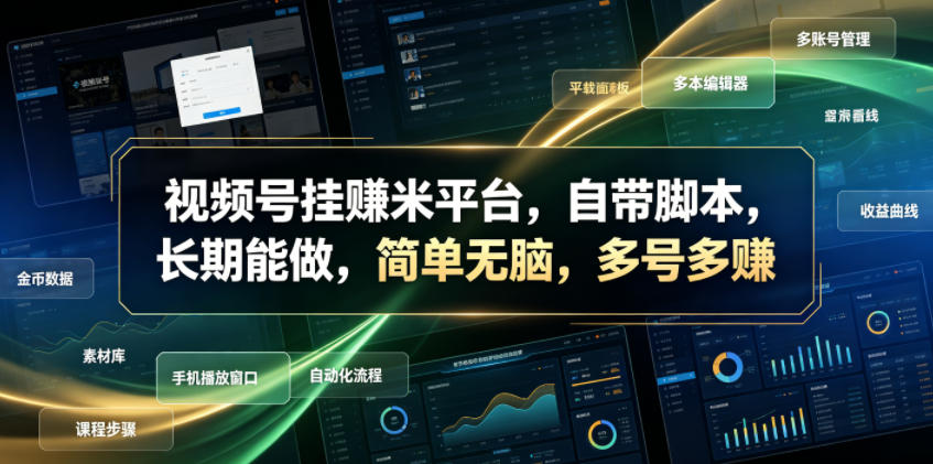 视频号挂賺米平台,自带脚本,长期能做,简单无脑,多号多賺【揭秘】-二当家网创资源站