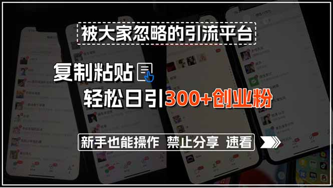 被大家忽略的引流平台，复制粘贴轻松日引300+创业粉，新手也能操作，禁…-二当家网创资源站