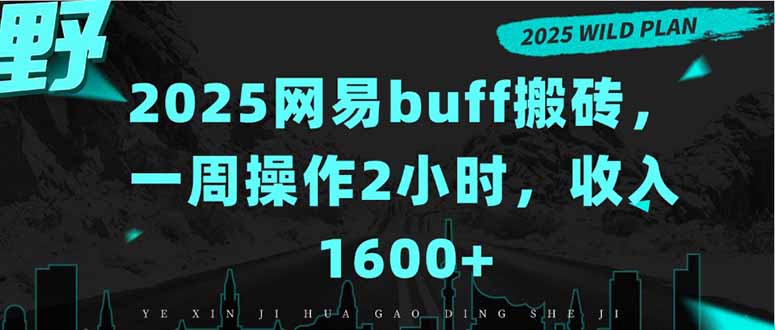 2025网易buff搬砖，一周操作2小时，收入1600+-二当家网创资源站
