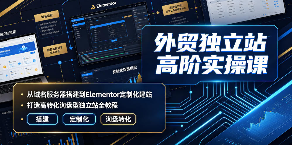 外贸独立站高阶实操课|从域名服务器搭建到Elementor定制化建站,打造高转化询盘型独立站全教程-二当家网创资源站
